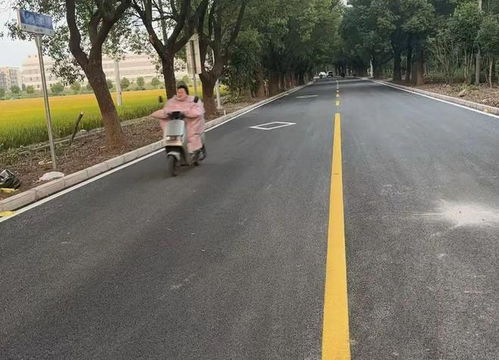 改造里程達(dá)46公里 2024年松江農(nóng)村公路提檔升級改造項目完工